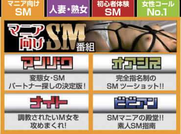 マンゾクの番組一覧